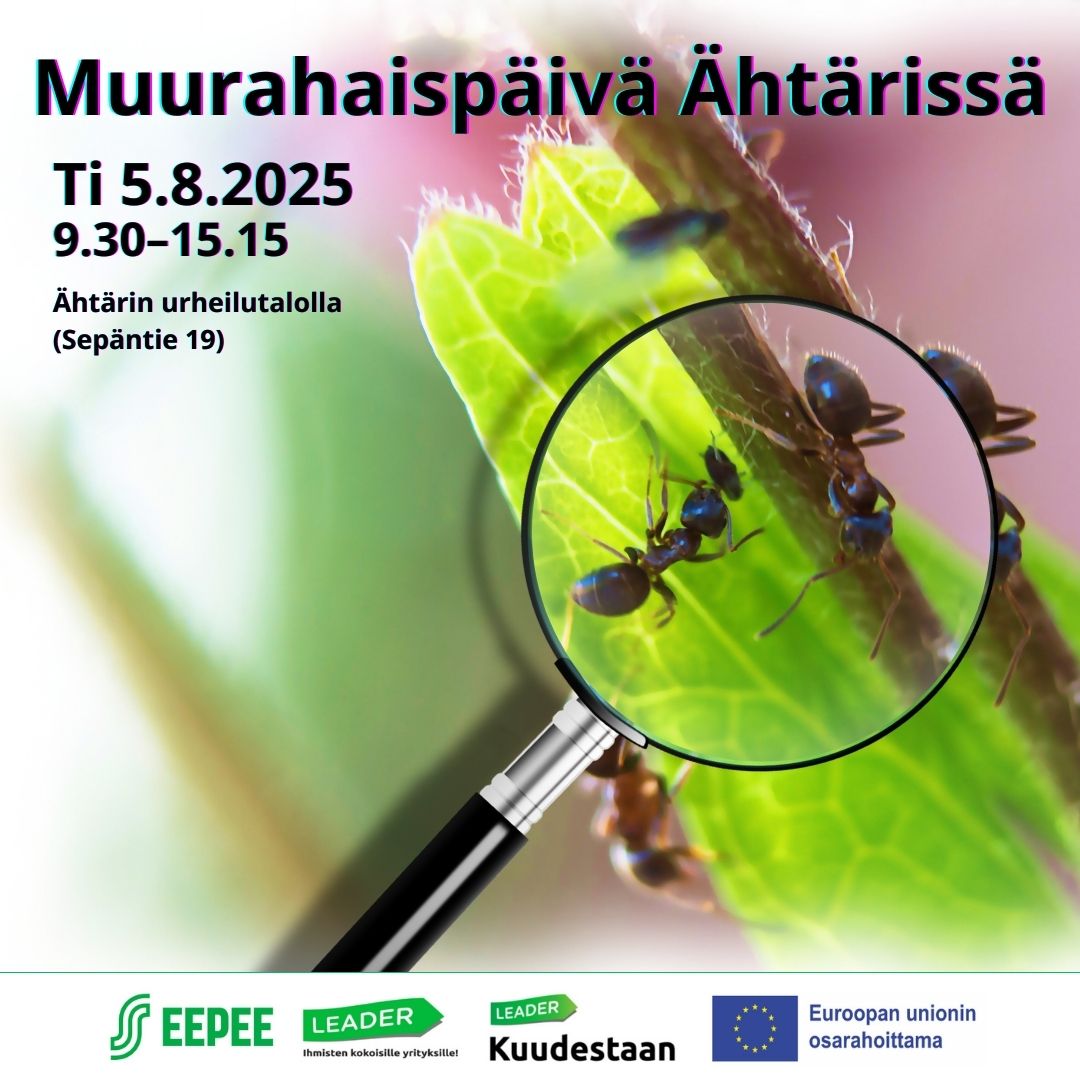 Muurahaispäivä Ähtärissä